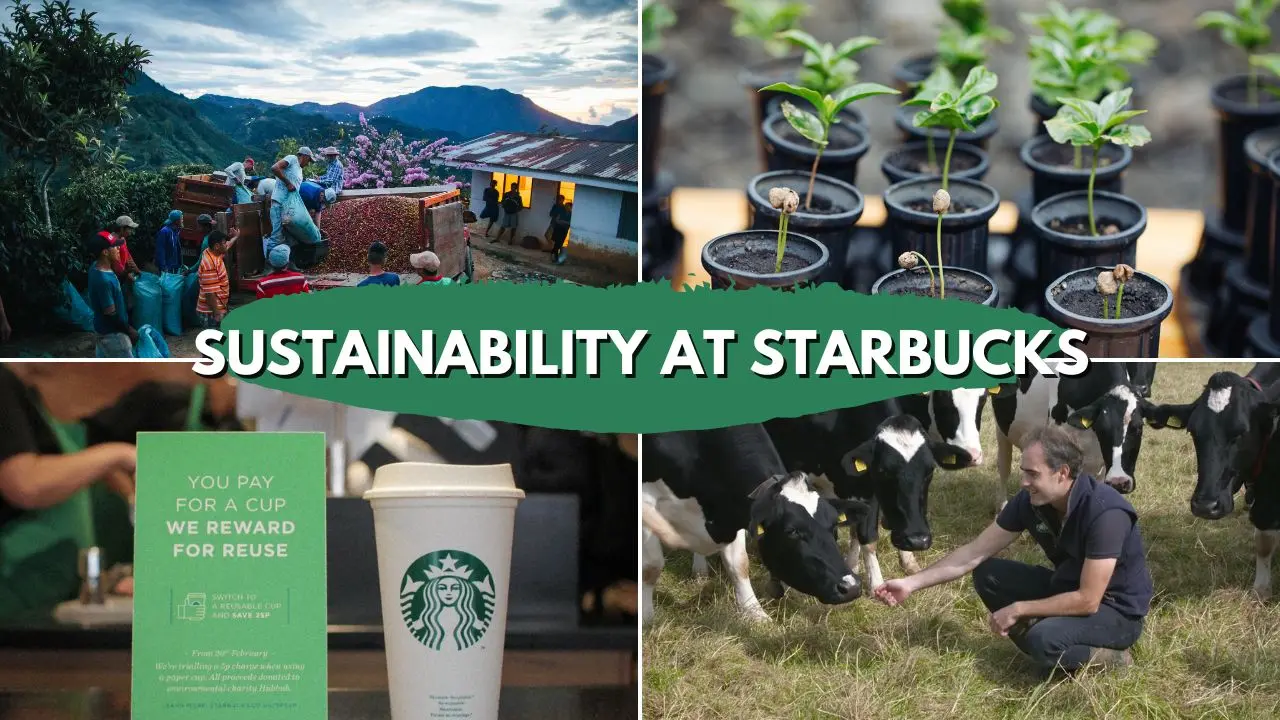 Starbucks SWOT Analysis - Sustainability